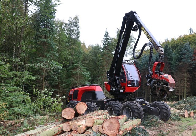 Mere dansk skov skal FSC certificeres