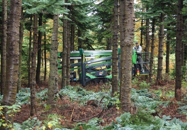 Juletravlhed hos skoventreprenører: Manøvredygtige lifte sparer tid