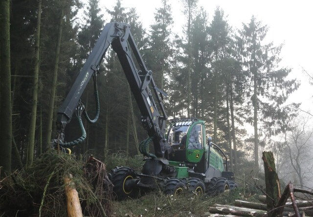 Skoventreprenører har tilgang