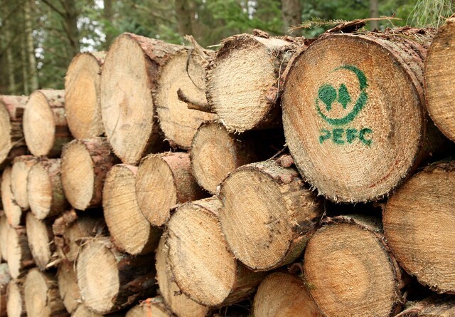 Trælastkæde vil bidrage til dokumentation af certificeret træ