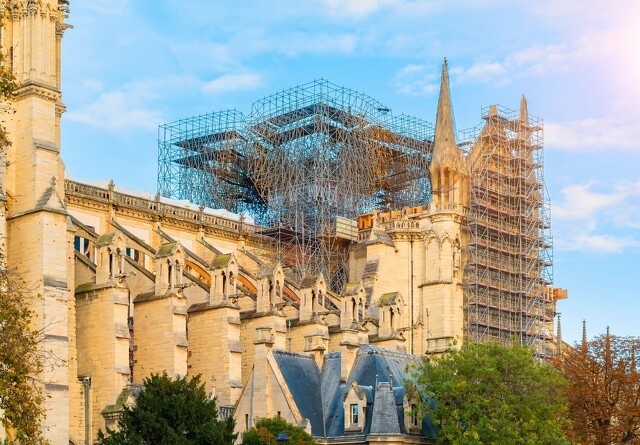 1.000 egetræer på toppen af Notre Dame