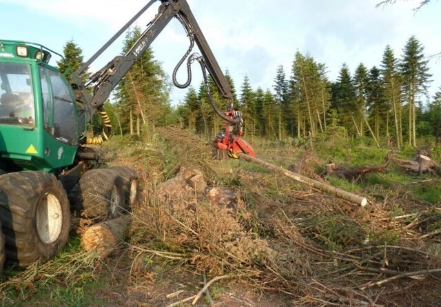 Skoventreprenørerne udfordres af mere bureaukrati