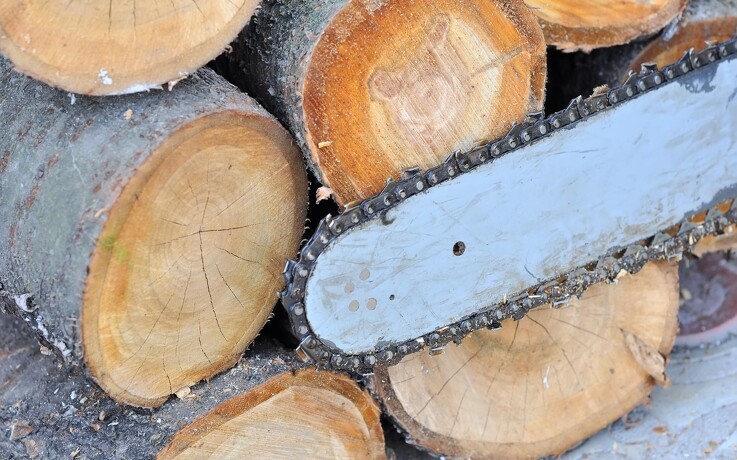 Træ bidrager med 77 milliarder kroner til samfundsøkonomien