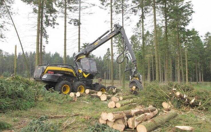 EU vil intensivere beskyttelse af skove