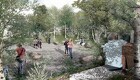Ny bypark på 15 hektar får fjordmuslinger som stibelægninger