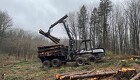 Skovmaskinerne klarer det forberedende arbejde