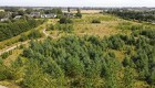 Skov bliver snart syv hektar større