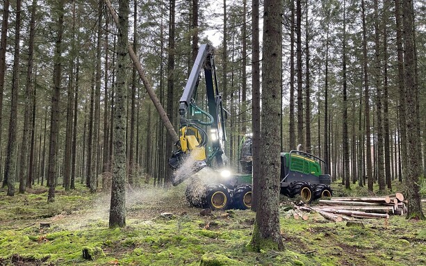 Naturstyrelsen opgraderer med lejede skovmaskiner