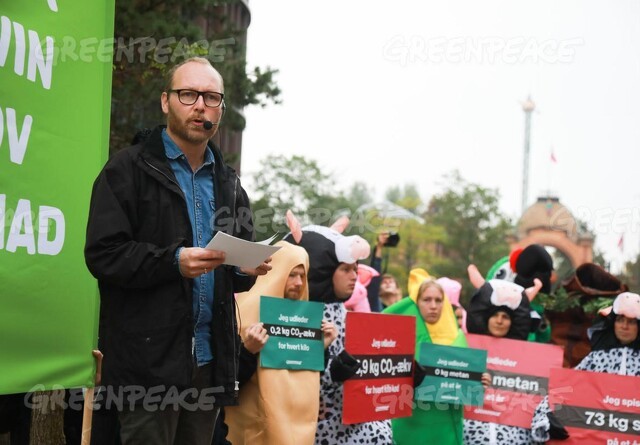 Greenpeace takker for mere skov