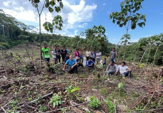Dansk NGO planter hurtigvoksende træer i Amazonas