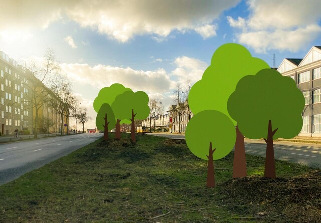 Træer skal igen skabe liv på Ringgaden i Aarhus