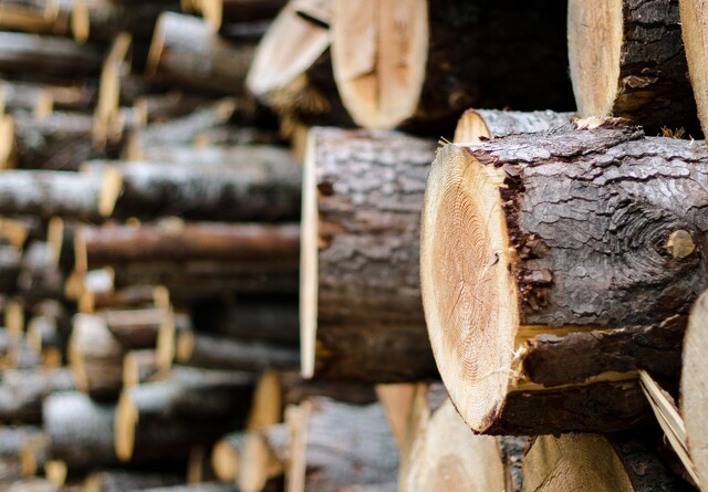 Dansk Skovforening følger tyverier af træ tæt