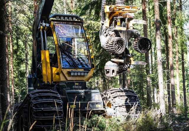 Eco Log opgraderer sine skovmaskiner i 500-serien