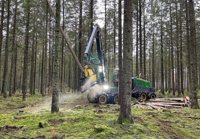 Naturstyrelsen opgraderer med lejede skovmaskiner