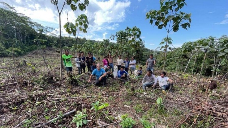 Dansk NGO planter hurtigvoksende træer i Amazonas